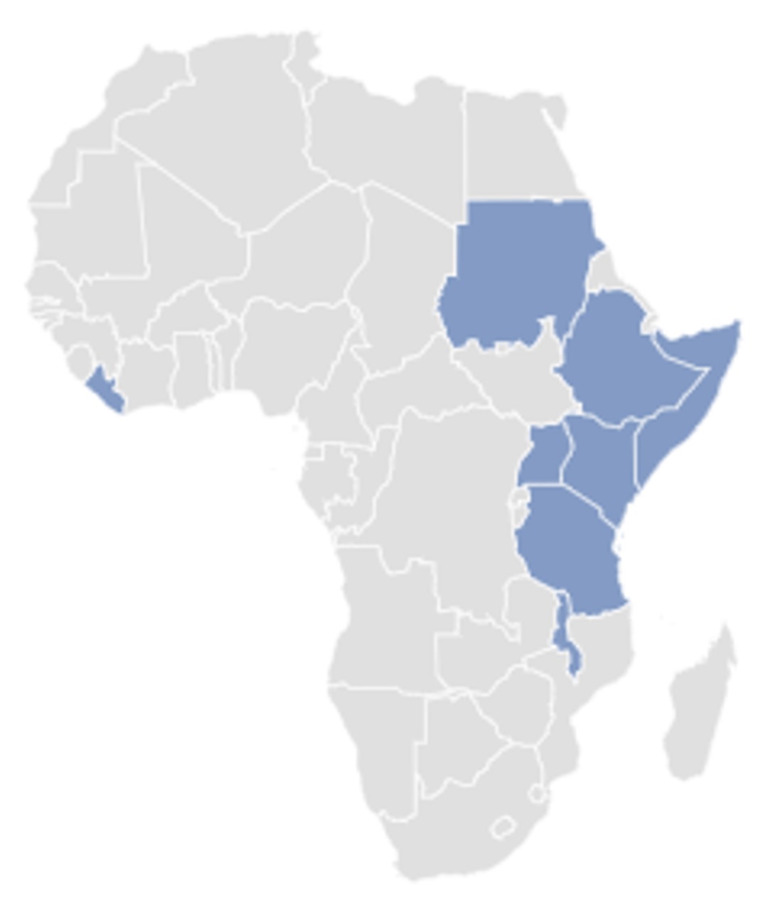 Impact of our Simulation Center across Africa